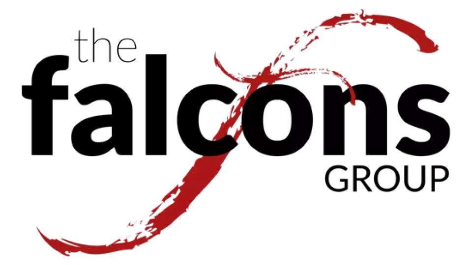 Falcons Group Logo